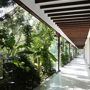 The Lifeco Bodrum Well-being Detox Center And Vegan (adults Only) *** Türkbükü